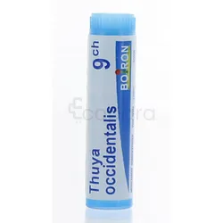 BOIRON THUYA OCCIDENTALI 9CH DOSE