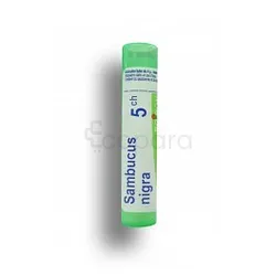 BOIRON SAMBUCUS NIGRA 5CH TUBE