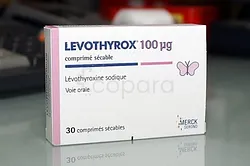 LEVOTHYROX 100µG BOITE DE 30 COMPRIMES SECABLES