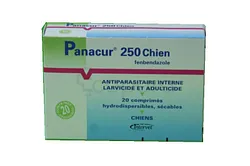 PANACURE 250 CHIEN BOITE DE 20 COMPRIMES