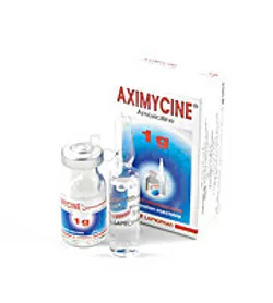 AXIMYCINE 1G BOITE DE 1 INJECTABLE