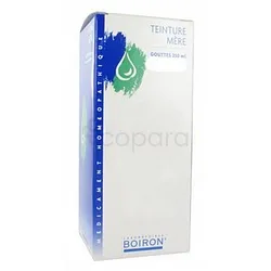 EQUISETUM ARVENSE TEINTURE MERE 250ML