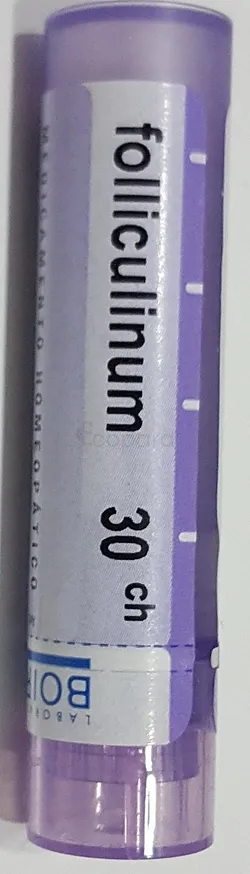 BOIRON FOLLICULINUM 30CH TUBE