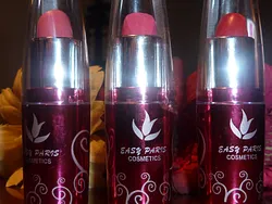 EASY-PARIS LABIALE