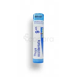 BOIRON THUYA OCCIDENTALI 9CH TUBE