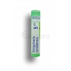 BOIRON SANGUINARIA CANAD 5CH TUBE