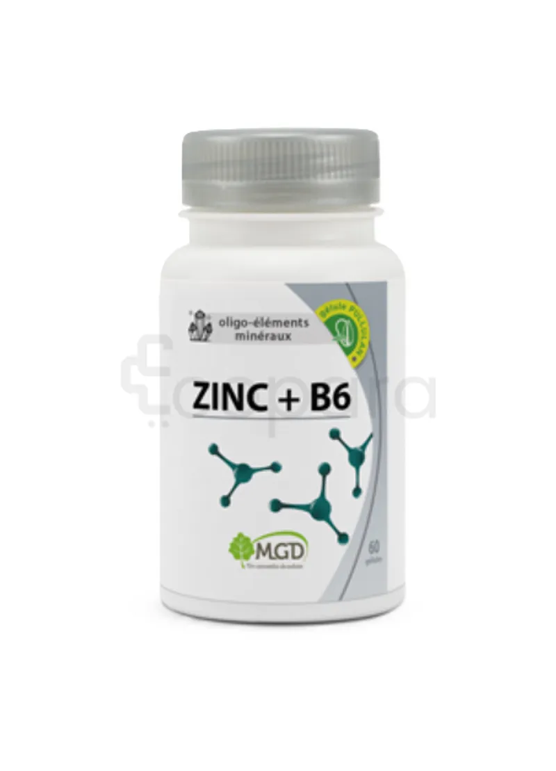 MGD ZINC + B6 B60 GELULES