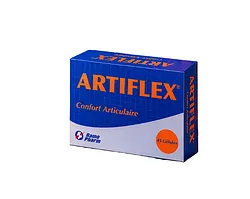 ARTIFLEX BOITE DE 45 GELULES
