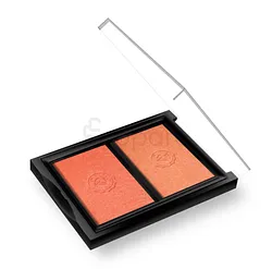 ABSOLUTE NEW YORK ABNY CHIC CHEEK DUO PINK CH REFERENCE MFBD02
