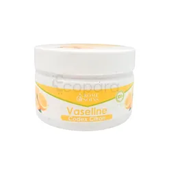 ROMESOINS VASELINE DE CITRON 120ML