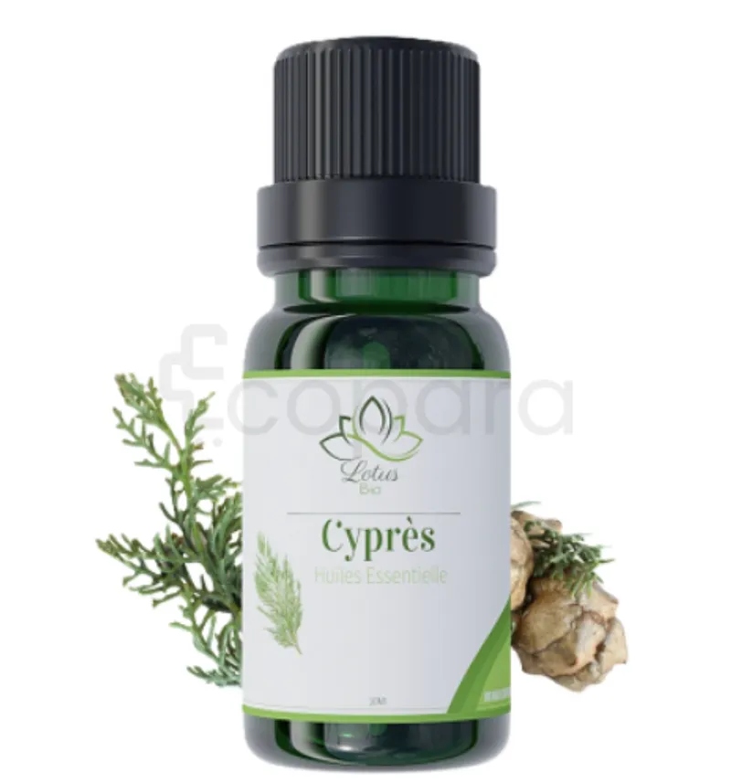 LOTUS BIO HUILE ESSENTIELLE CYPRES 10ML