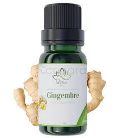 LOTUS BIO HUILE ESSENTIELLE GINGEMBRE 10ML