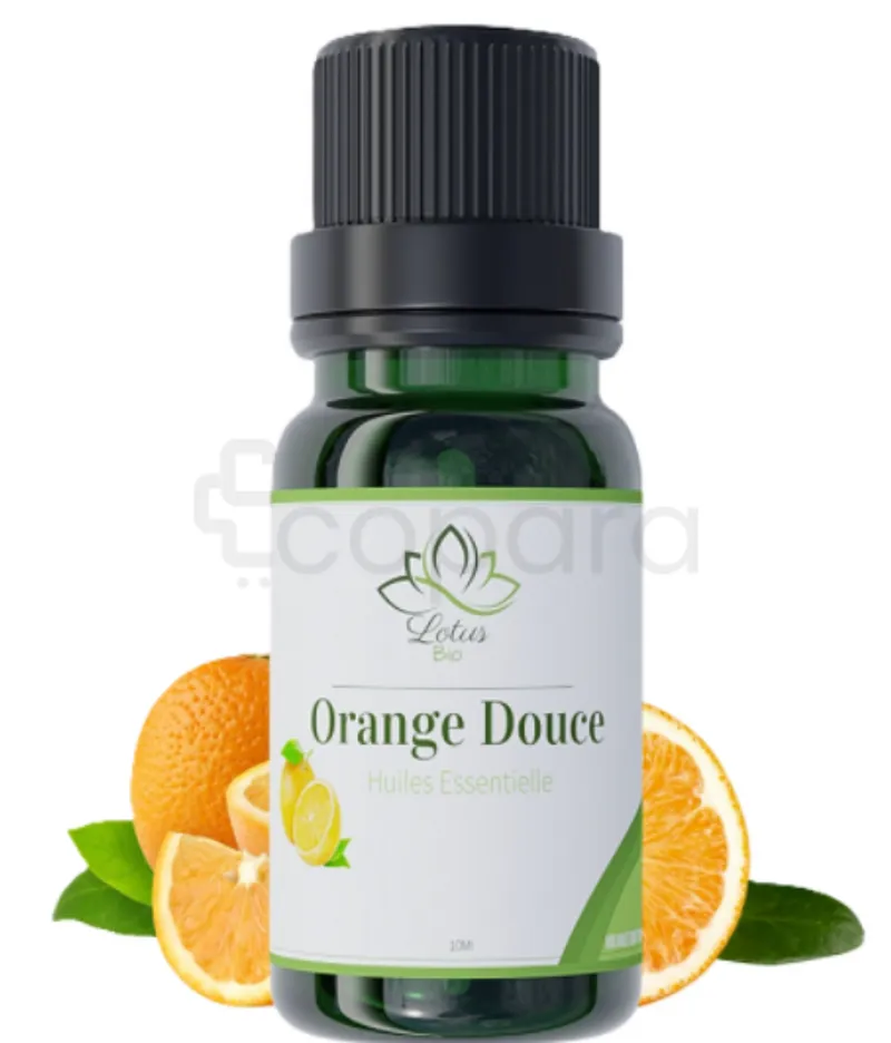 LOTUS BIO HUILE ESSENTIELLE D'ORANGE DOUCE 10ML
