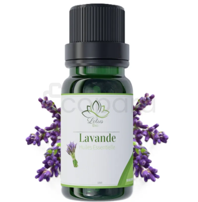 LOTUS BIO HUILE ESSENTIELLE LAVANDE 10ML