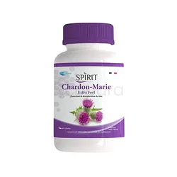 SPIRIT CHARDON MARIE EXTRA FORT BOITE DE 60