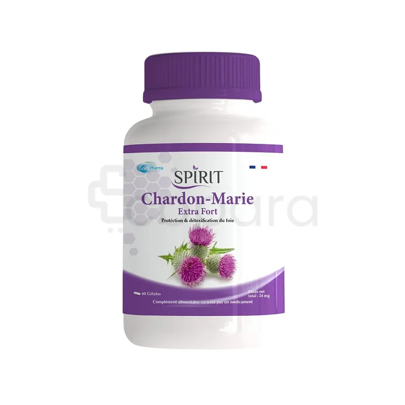 SPIRIT CHARDON MARIE EXTRA FORT BOITE DE 60