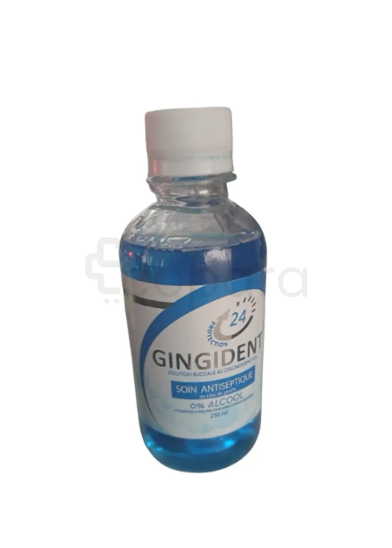 GINGIDENT SOIN ANTISEPTIQUE AU CLOU DE GIROFLE 250ML