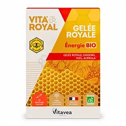 VITAROYAL GELEE ROYALE ENERGIE BIO BOITE DE 10 AMPOULES
