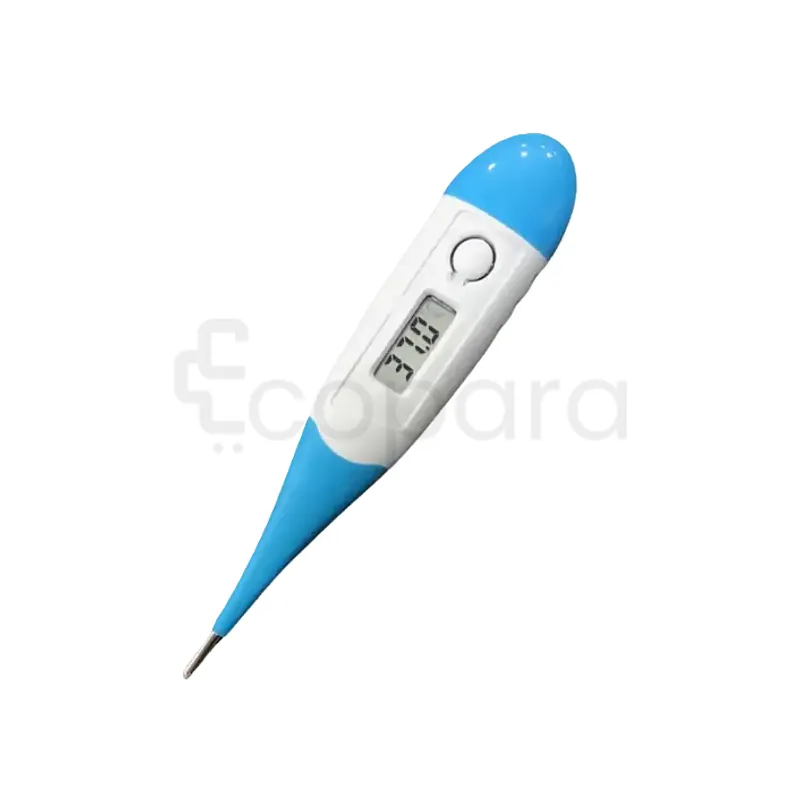LEHMAN THERMOMETRE FLEXIBLE