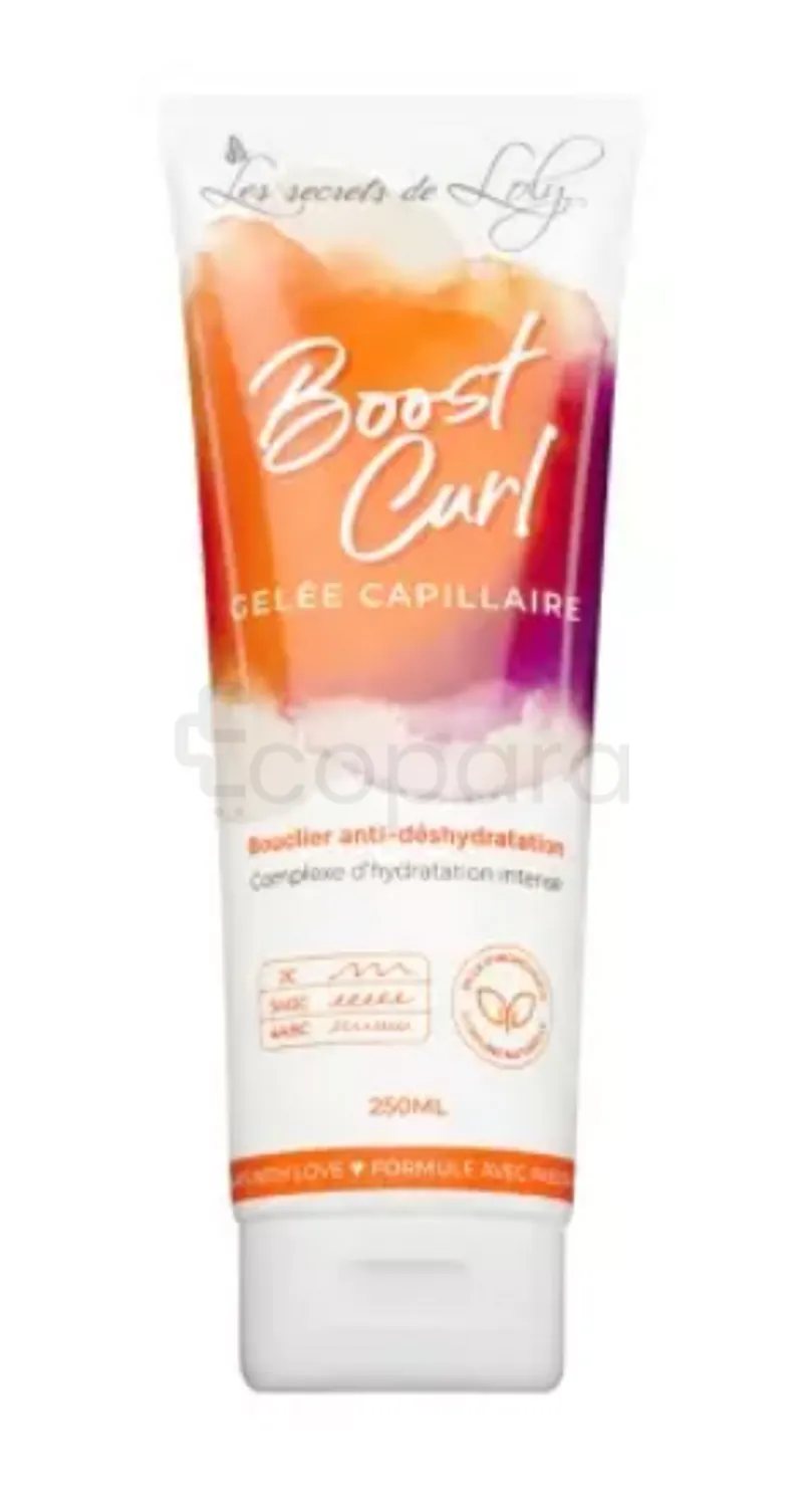 LES SECRETS DE LOLY BOOST CURL GELEE CAPILLAIRE 250ML