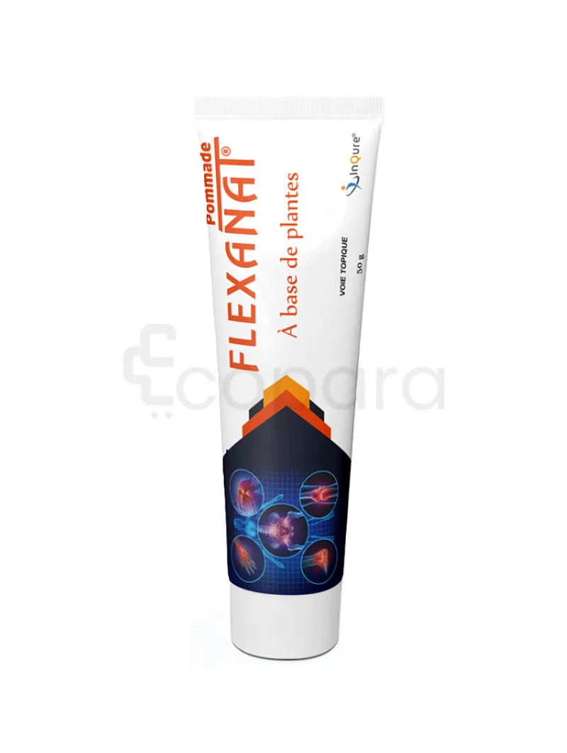 FLEXANAT POMMADE 50G