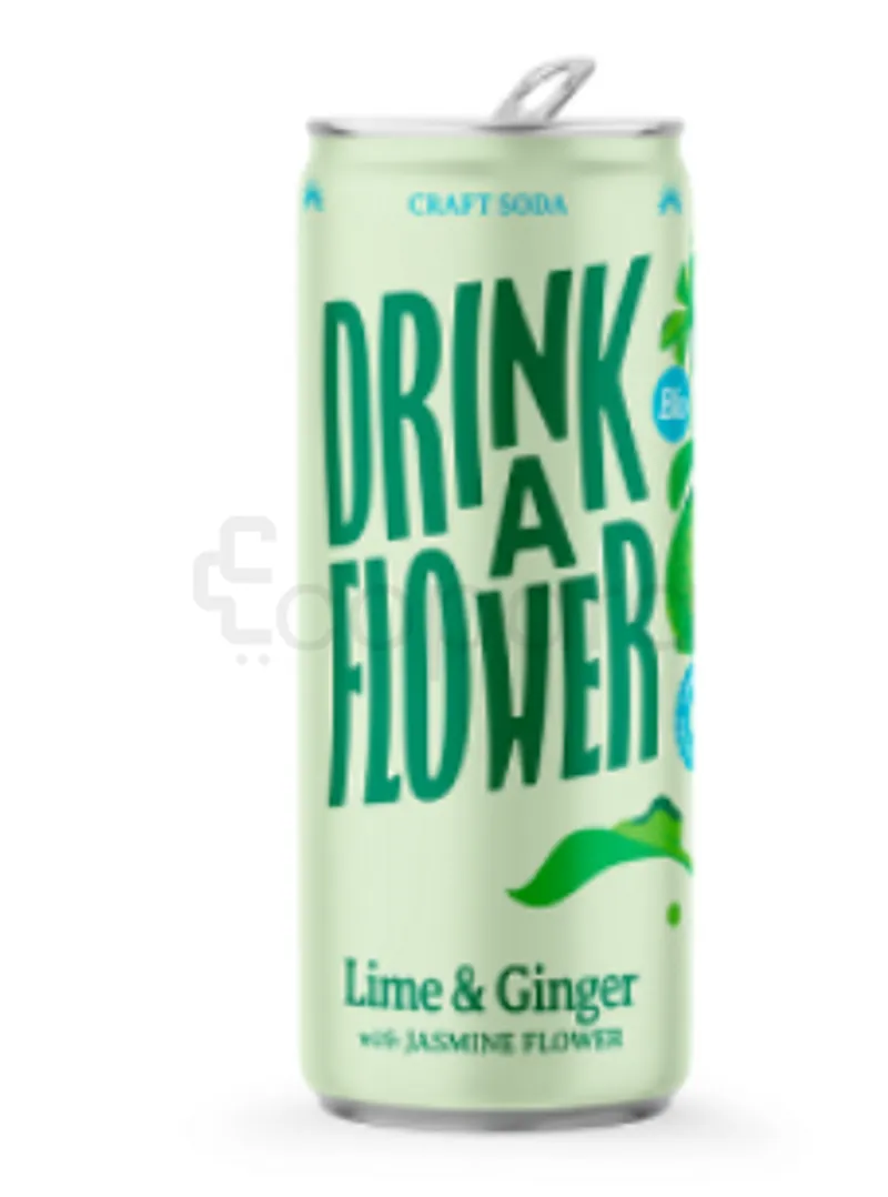 DRINK A FLOWER BOTANICAL LEMONADE GINGEMBRE CITRON VERT 25CL