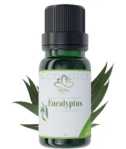 LOTUS BIO HUILE ESSENTIELLE EUCALYPTUS 10ML
