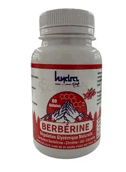 HYDRA PHYT BERBERINE BOITE DE 60 GELULES