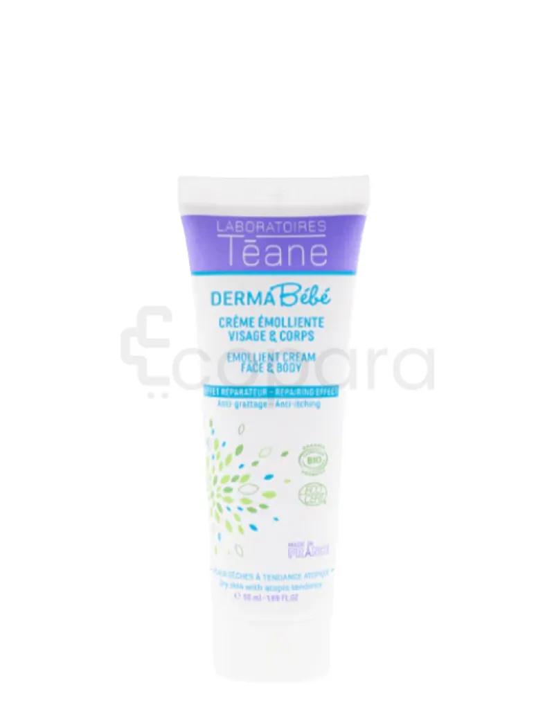 TEANE CREME EMOLLIENTE ECZEMA ATOPIQUE VISAGE ET CORPS 150ML