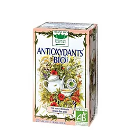 ROMON NATURE ANTIOXYDANTS BIO BOITE DE 20 SACHETS