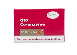 INDOKA Q10 CO-ENZYME BOITE DE 30 CAPSULES