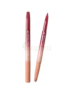 ABSOLUTE NEW YORK LIP DUO NAKED OMBRE REFERENCE ALD08