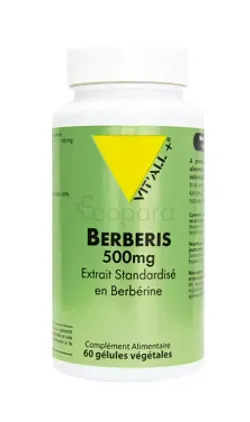 VITALL+ BERBERIS 500MG BOITE DE 60 GELULES