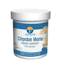 FENIOUX CHARDON MARIE 300MG BOITE DE 90 GELULES