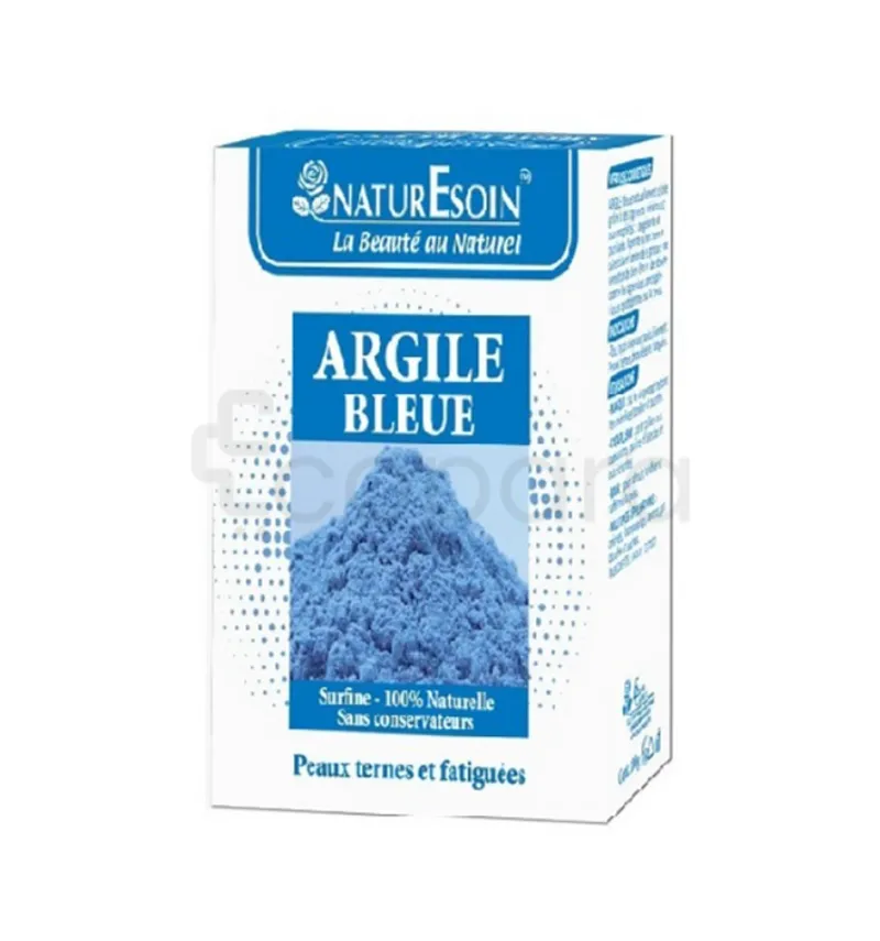 NATURESOIN ARGILE BLEU SACHET 100G