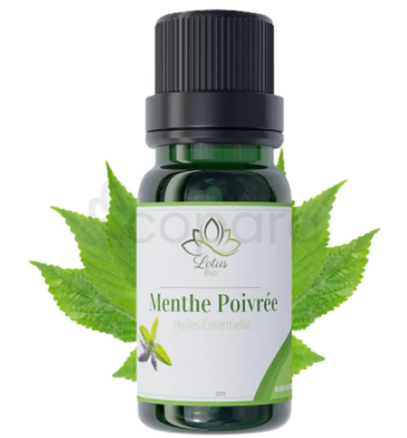 LOTUS BIO HUILE ESSENTIELLE MENTHE POIVREE 10ML