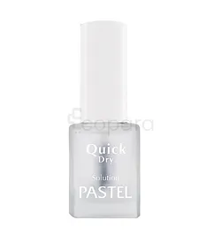 PASTEL PROFESSIONEL QUICK DRY 13ML
