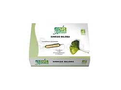 GPH GINKGO BILOBA BOITE DE 20 AMPOULES BUVABLES