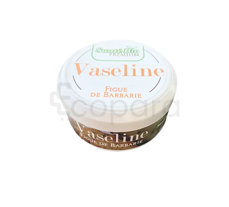 SANTE BIO VASELINE DE FIGUE DE BARBARIE 120ML
