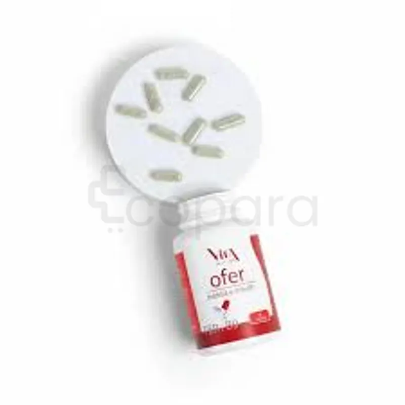 VILA NATURE OFER FER + B9 BOITE DE 30 GELULES