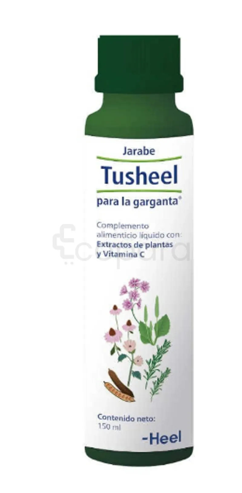 HEEL TUSHEEL 150ML SIROP