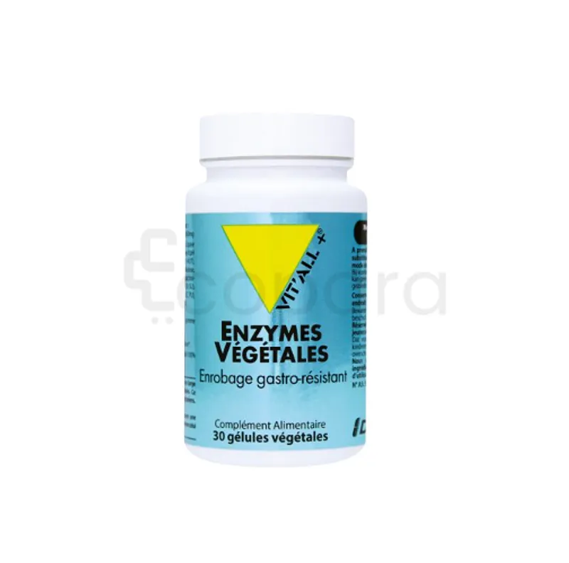 VITALL+ ENZYMES VEGETALES BOITE DE 30 GELULES