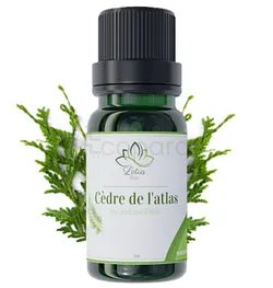 LOTUS BIO HUILE ESSENTIELLE CEDRE DE L'ATLAS 10ML