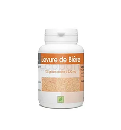 LEVURE DE BIERE REVIVIFIABLE 320MG BOITE DE 100