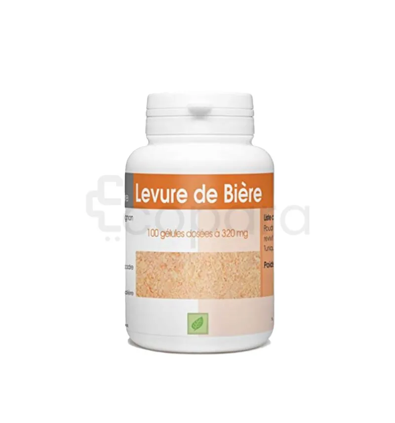 LEVURE DE BIERE REVIVIFIABLE 320MG BOITE DE 100