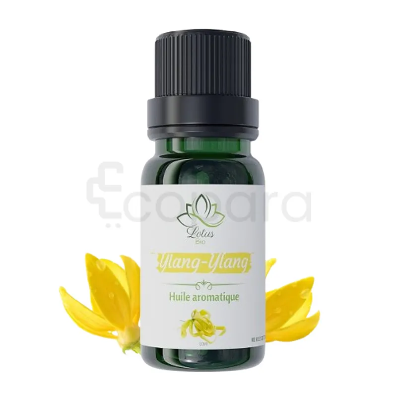 LOTUS BIO HUILE D'YLANG YLANG 10ML