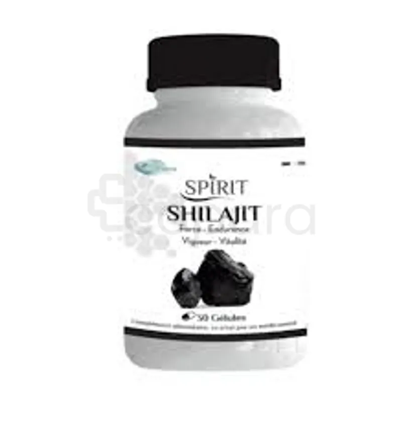 SPIRIT SHILAJIT BOITE DE 30
