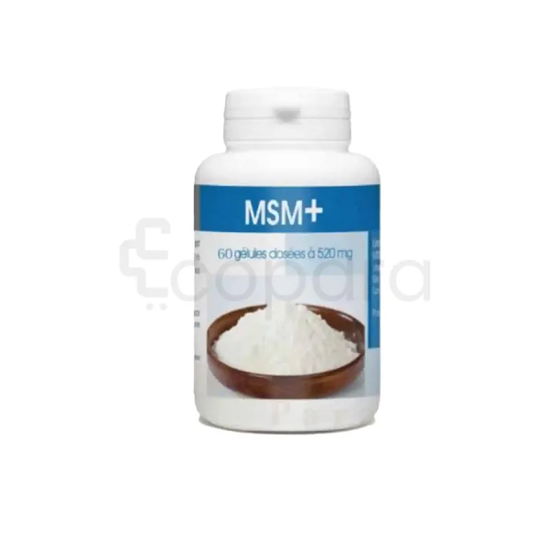 GPH MSM+ 520MG BOITE DE 60 GELULES