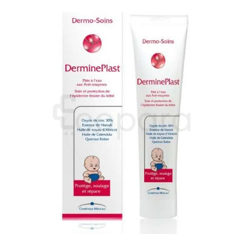 DERMO-SOINS DERMINEPLAST 80G