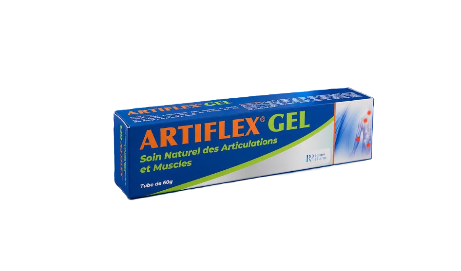 ARTIFLEX GEL 60G GM